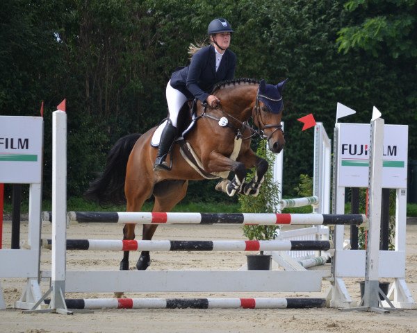 jumper Montenegro 29 (Rhinelander, 2014, from Monti Obolensky)