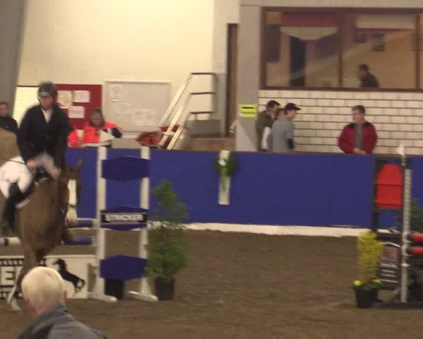 Reitturnier Dörpen 2016
