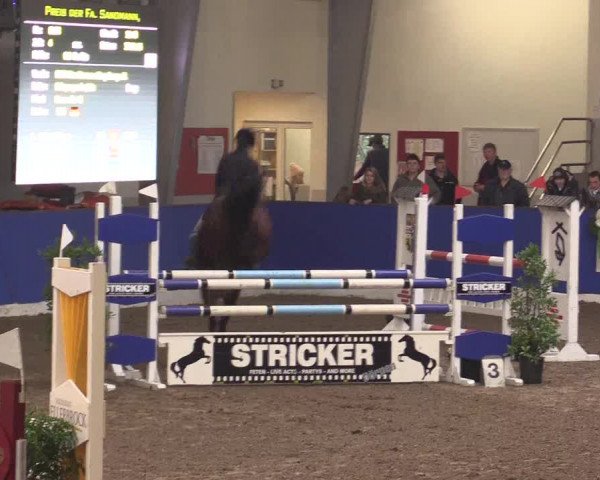 Reitturnier Dörpen 2016