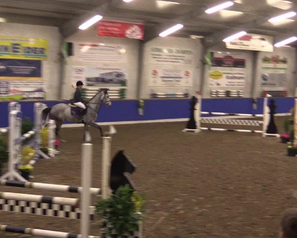 Reitturnier Dörpen 2016