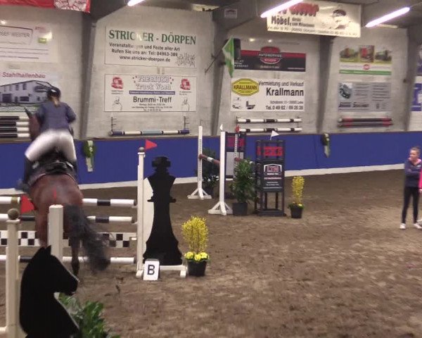 Reitturnier Dörpen 2016