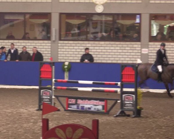 Reitturnier Dörpen 2016