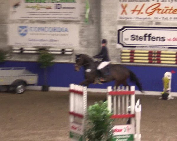 Reitturnier Dörpen 2016
