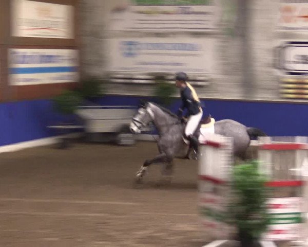Reitturnier Dörpen 2016
