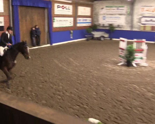 Reitturnier Dörpen 2016