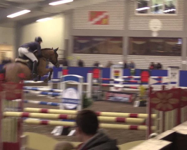 Reitturnier Dörpen 2016