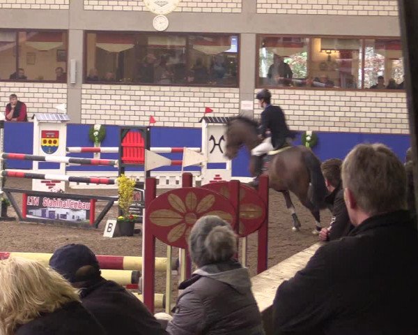 Reitturnier Dörpen 2016