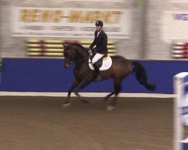 Reitturnier Dörpen 2016