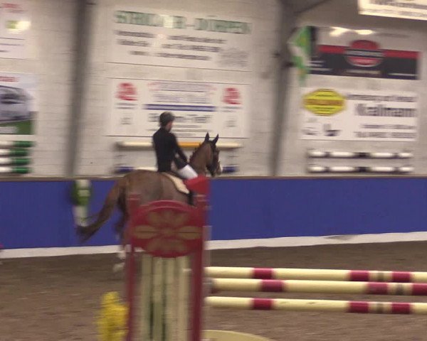 Reitturnier Dörpen 2016