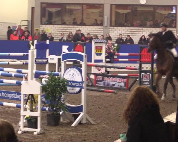 Reitturnier Dörpen 2016