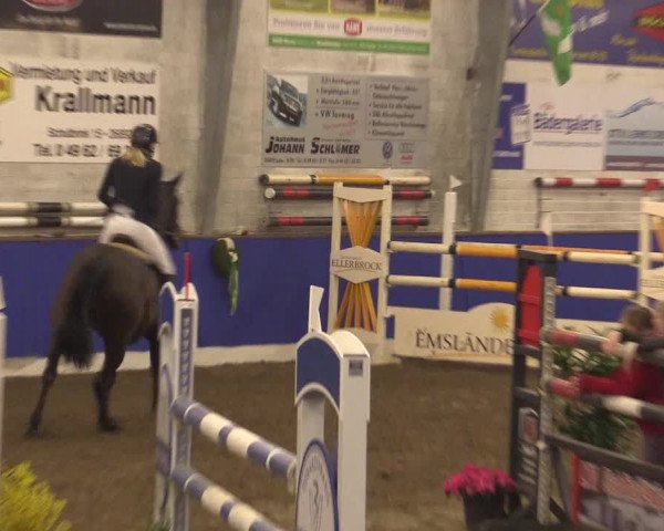Reitturnier Dörpen 2016