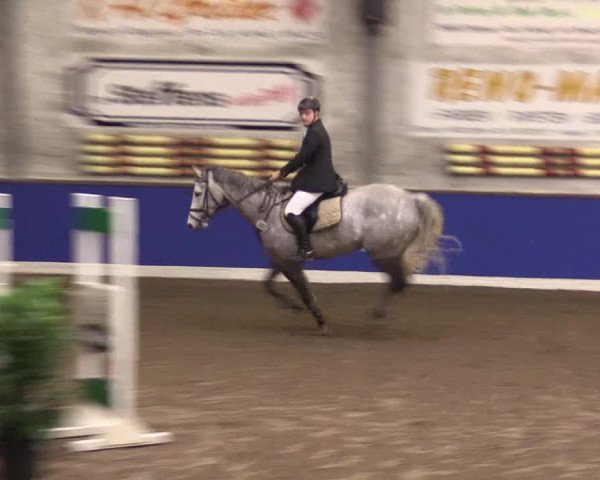 Reitturnier Dörpen 2016