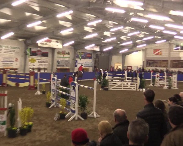 Reitturnier Dörpen 2016