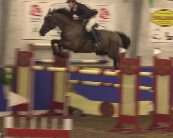 Reitturnier Dörpen 2016