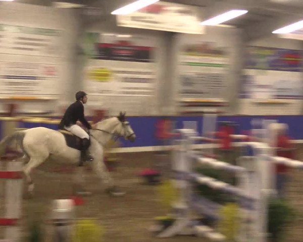 Reitturnier Dörpen 2016