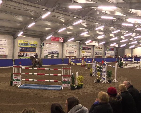 Reitturnier Dörpen 2016