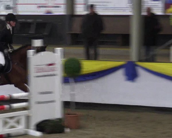 Reitturnier Vreden 2016