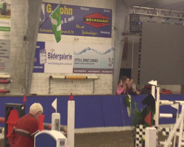 Reitturnier Dörpen 2016