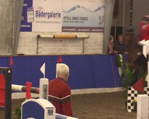 Reitturnier Dörpen 2016