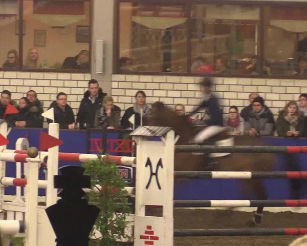 Reitturnier Dörpen 2016