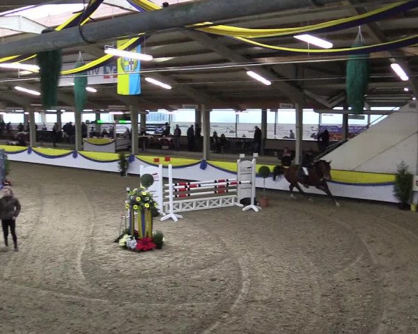 Reitturnier Vreden 2016