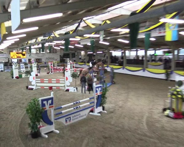 Reitturnier Vreden 2016