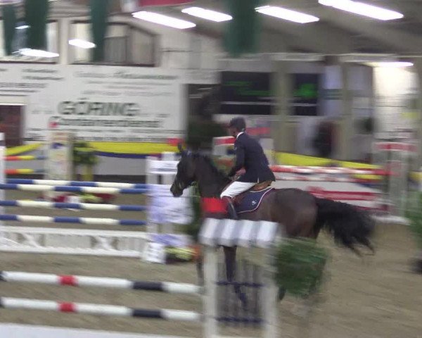 Reitturnier Vreden 2016