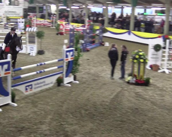 Reitturnier Vreden 2016