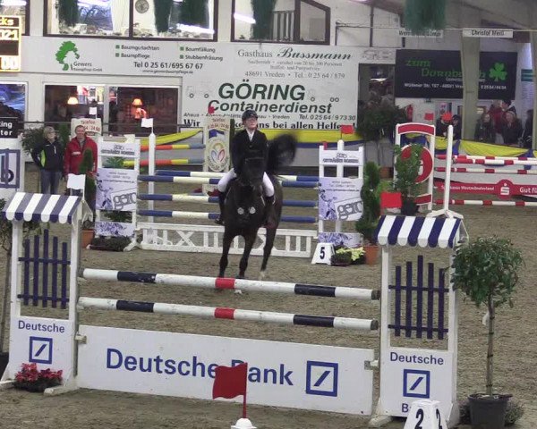 Reitturnier Vreden 2016