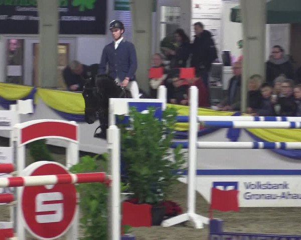 Reitturnier Vreden 2016