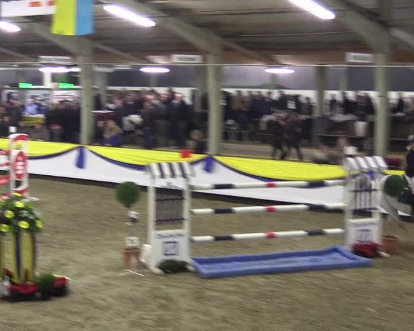 Reitturnier Vreden 2016