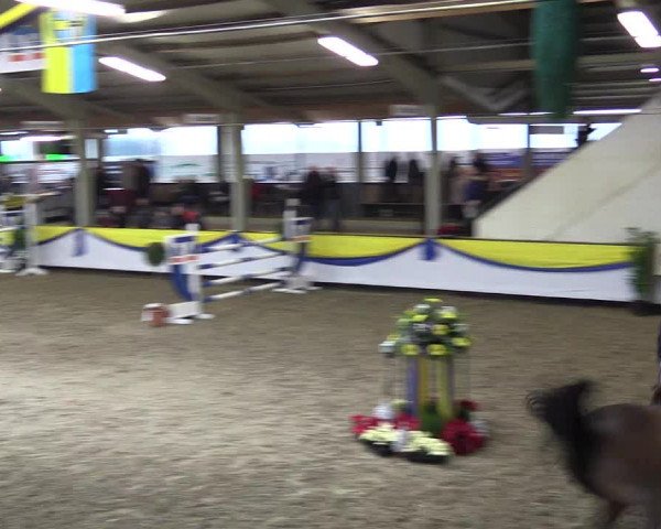 Reitturnier Vreden 2016