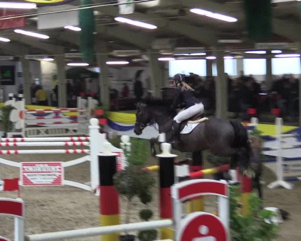 Reitturnier Vreden 2016