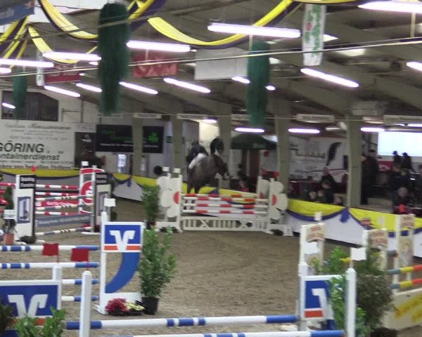 Reitturnier Vreden 2016