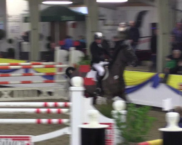 Reitturnier Vreden 2016
