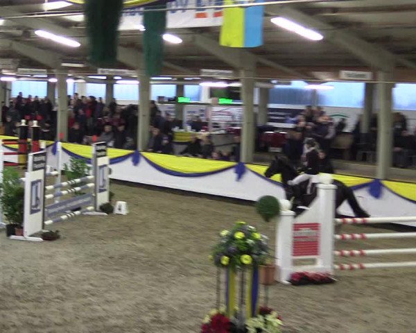 Reitturnier Vreden 2016