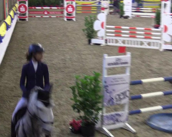 Reitturnier Vreden 2016