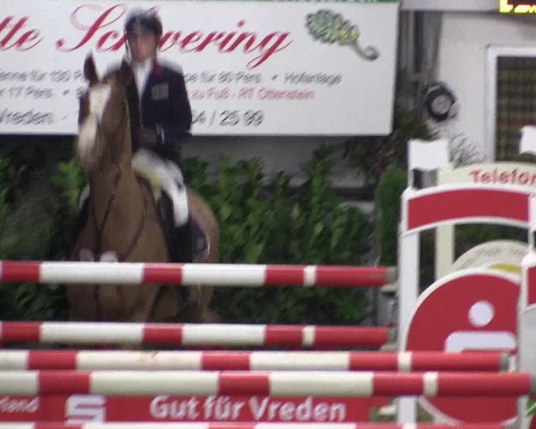 Reitturnier Vreden 2016