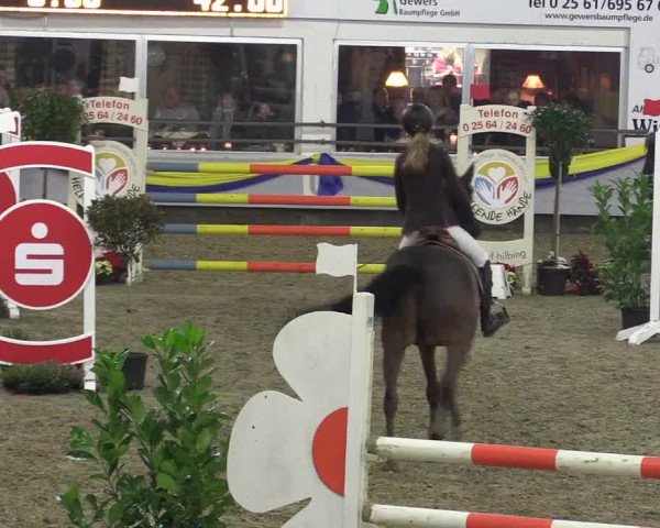 Reitturnier Vreden 2016