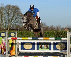 Deckhengst Barr Bassid-h (Oldenburger Springpferd, 2016, von Balou du Rouet)