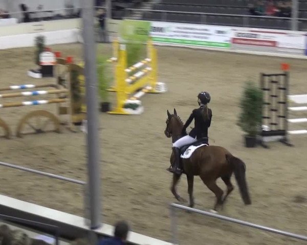 VER-Dinale 2016