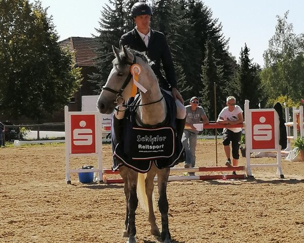 jumper Laluna 62 (Hanoverian, 2012, from Clinton H)