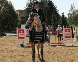 jumper Laluna 62 (Hanoverian, 2012, from Clinton H)