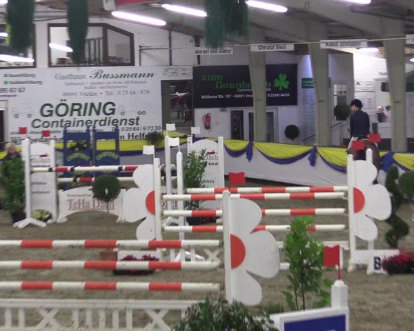 Reitturnier Vreden 2016
