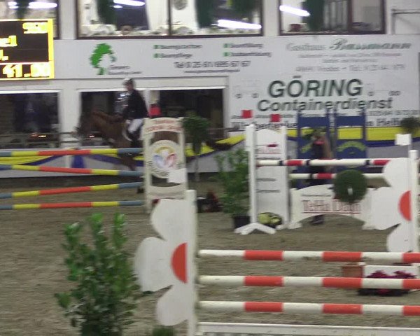 Reitturnier Vreden 2016