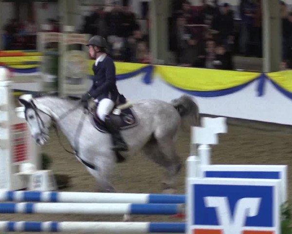 Reitturnier Vreden 2016