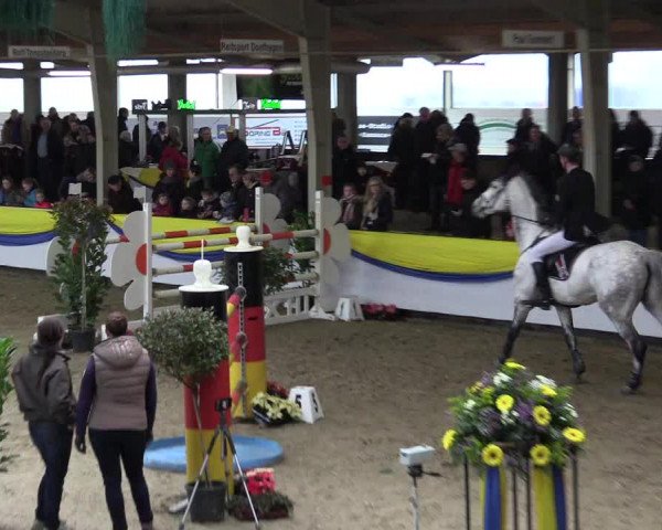 Reitturnier Vreden 2016