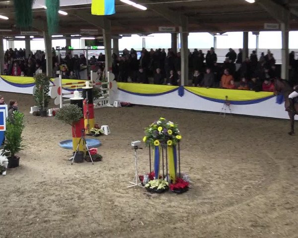 Reitturnier Vreden 2016