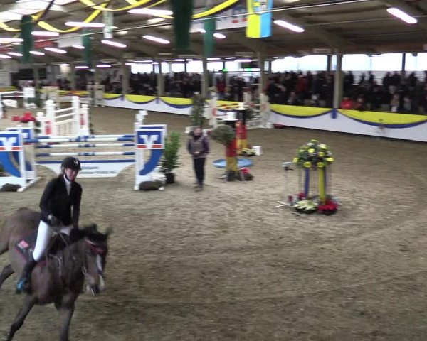 Reitturnier Vreden 2016