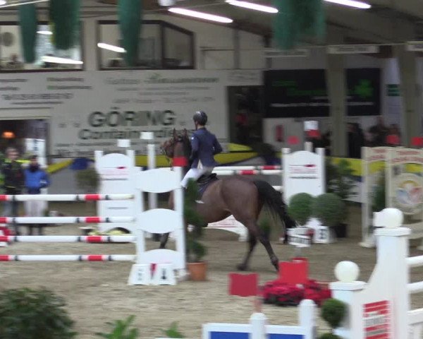 Reitturnier Vreden 2016